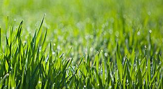 恒赫鼎富（蘇州）電子有限公司<br>土壤和地下水污染隱患排查報(bào)告